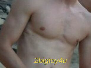 2bigtoy4u
