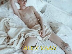 ALEX_VAAN