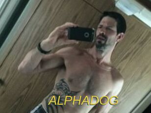 ALPHADOG