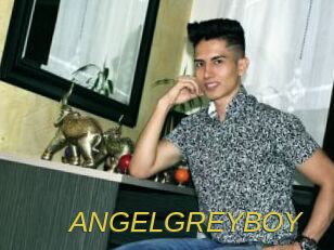 ANGELGREYBOY Archive DVD ORG