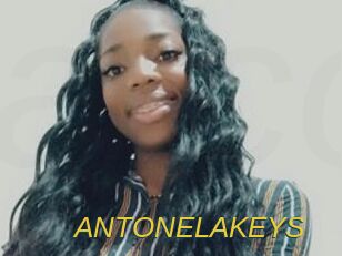ANTONELAKEYS