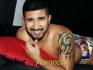 Aaroncat