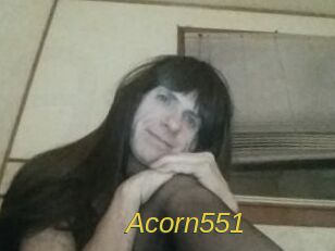 Acorn551