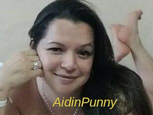 AidinPunny