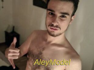 AleyModel