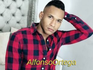 AlfonsoOrtega Archive DVD ORG