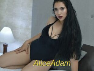 AliceAdam