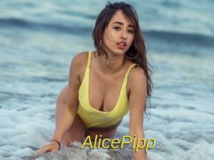 AlicePipp