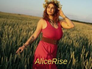 AliceRise