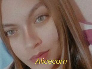 Alicecorn