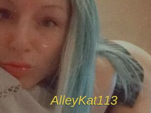 AlleyKat113