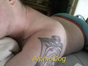 Alphie_Dog