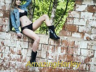AmazingHarley