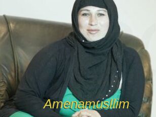 Amenamusllim