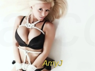 AmyJ Archive DVD ORG