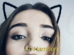 An_Harrison