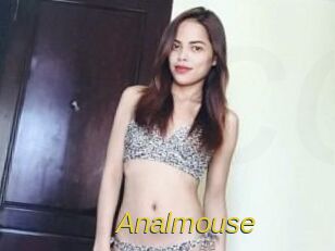 Anal_mouse