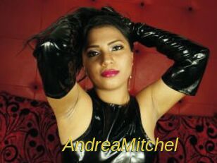 AndreaMitchel
