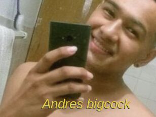 Andres_bigcock Archive DVD ORG