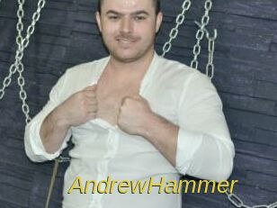 AndrewHammer