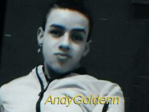 AndyGoldenn Archive DVD ORG