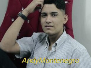 AndyMontenegro