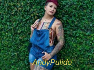 AndyPulido