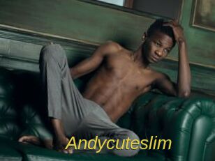 Andycuteslim