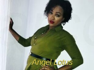 Angel_Lotus Archive DVD ORG