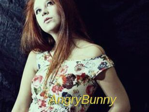AngryBunny