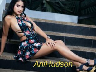 AniHudson