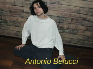 Antonio_Belucci Archive DVD ORG