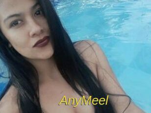 AnyMeel