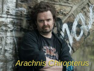 Arachnis_Chiropterus