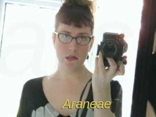 Araneae