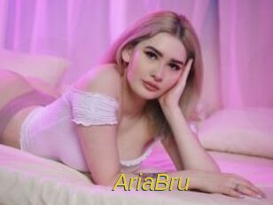 AriaBru Archive DVD ORG