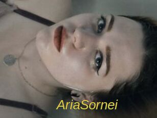 AriaSornei