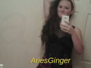 AriesGinger