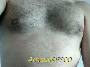 Arnaud95300