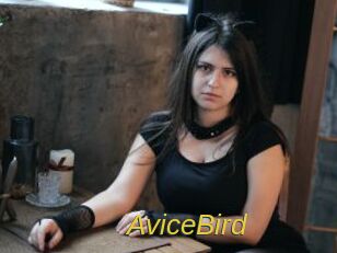 AviceBird