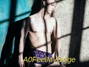 A0FeelMyBulge