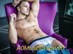 a0MuscleHeaven Archive DVD ORG
