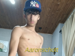 aaronschott Archive DVD ORG
