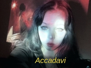 Accadavi