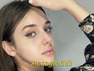 Accagledhill