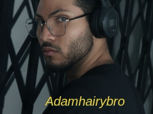adamhairybro Archive DVD ORG