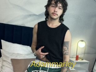 Adammarley