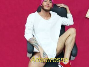 Adamrosse