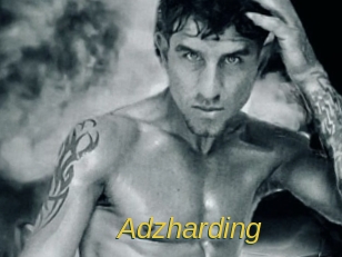 adzharding Archive DVD ORG