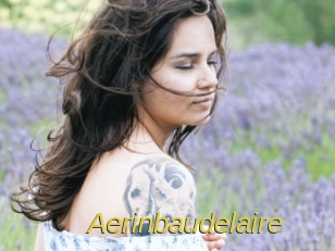 aerinbaudelaire Archive DVD ORG